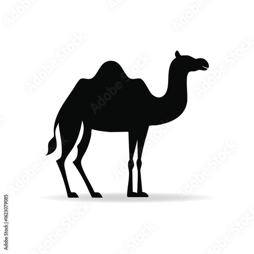 Silhouette of a majestic desert camel standing on sand with shadow