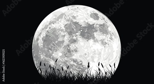 Full moon rising in dark sky, glowing celestial body, lunar silhouette above grass, night scene for nature, astronomy, outdoor artwork