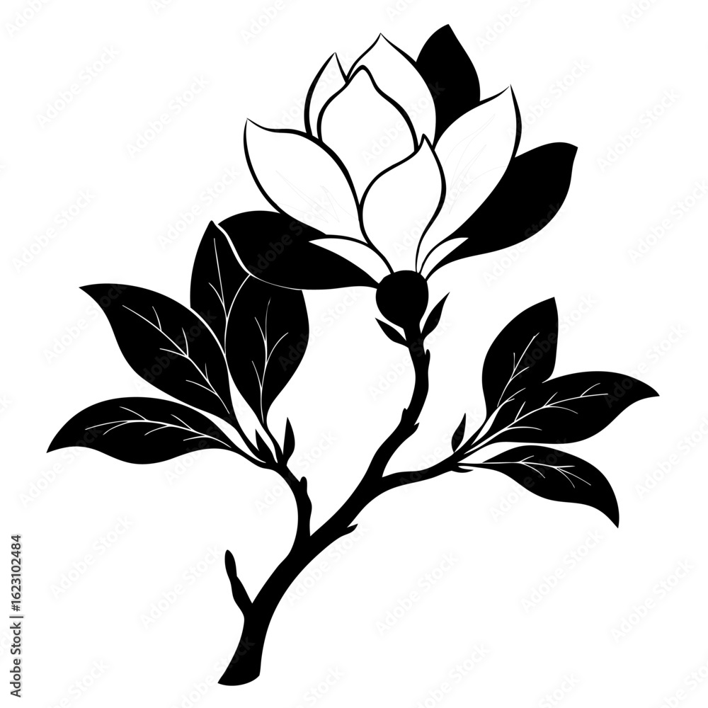 Obraz premium saucer magnolia silhouette vector illustration on white background