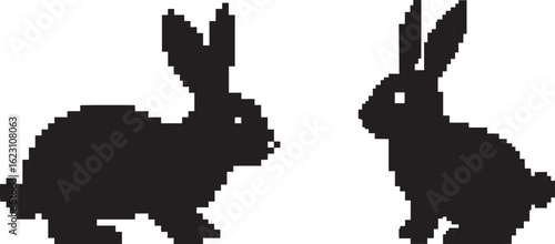 Two rabbits stand side by side isolated on white background