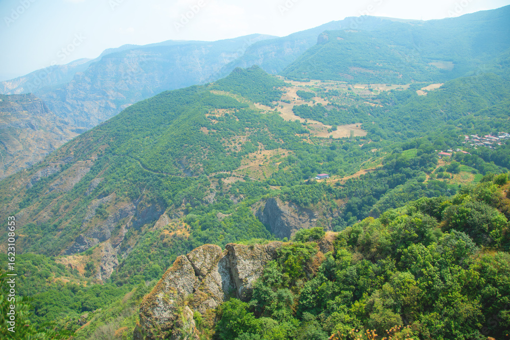 Fototapeta premium Green forest landscape. Beautiful view