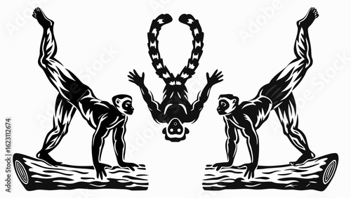 Three monkeys in black and white performing acrobatics on logs and hanging upside down with tail up silhouette