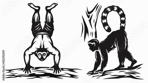 Illustration of a monkey doing a handstand and a lemur walking on a branch in black and white style silhouette
