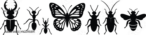 Silhouettes of insect species, beetle, ant, butterfly, cockroach, bee, black vector icons, entomology illustration, nature study, isolated graphic