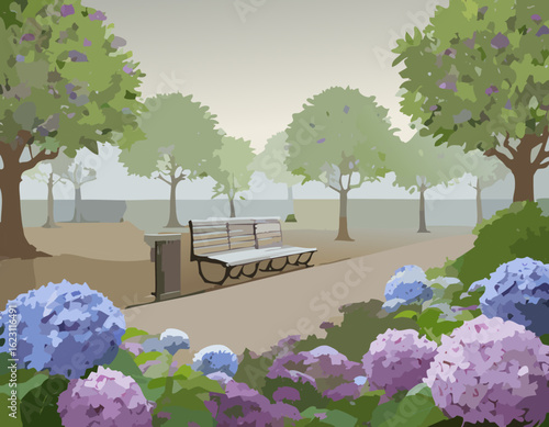 アジサイと風景