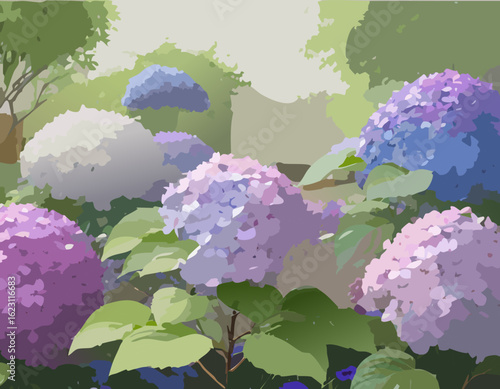 アジサイと風景