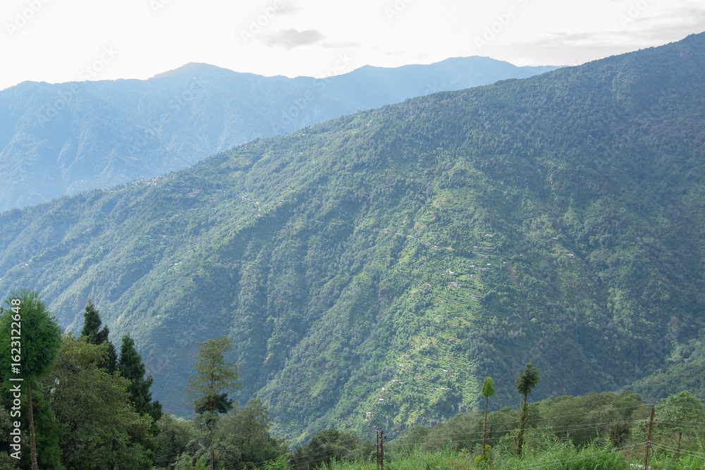 Obraz premium Scenic beauty of Green forests of Himalayan mountains, Okhrey, sikkim, India. Okhrey village is remote place in Sikkim where peaceful, tranquil Himalayan mountain range is enjoyed by tourists.
