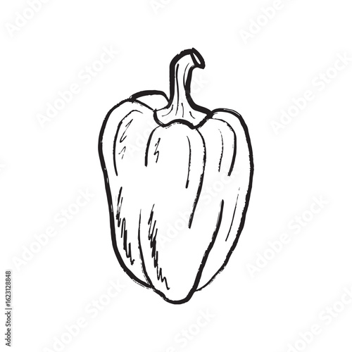 Big bell pepper design in black brush stroke texture isolated on white. Hand drawn vector sketch illustration in vintage charcoal ink. Tasty vegetable design, salad ingredient, farm, agriculture.
