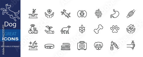 A clean editable-stroke icon set for dog health, grooming, feeding, training, and vet care. Perfect for pet shops, vet clinics, and animal product packaging.