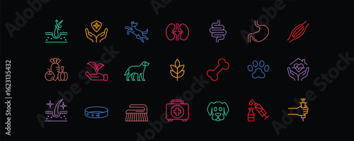 A clean editable-stroke icon set for dog health, grooming, feeding, training, and vet care. Perfect for pet shops, vet clinics, and animal product packaging.