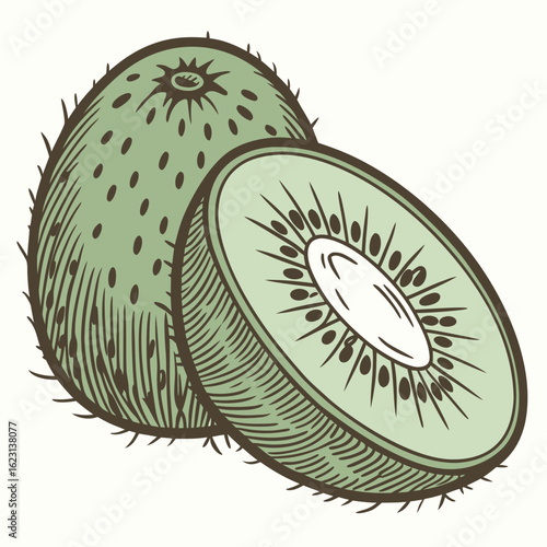 Engraved Style Illustration of a Whole and Halved Kiwi Fruit
