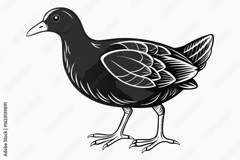 Obraz premium coloring page line art the gallinule black vector
