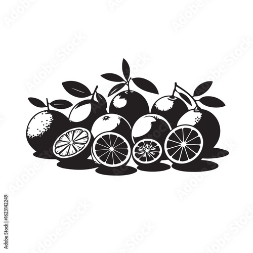 A vibrant collection of whole and sliced citrus fruits including oranges and lemons depicted in a striking black and white silhouette style