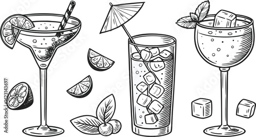 Flat vector drink is sitting in glass with ice, citrus slices, garnishes on transparent background. a detailed vintage-style vector illustration of assorted cocktail and drink glasses.