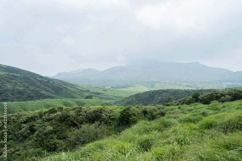 Fototapeta premium 草千里ヶ浜の丘から見た夏の阿蘇山