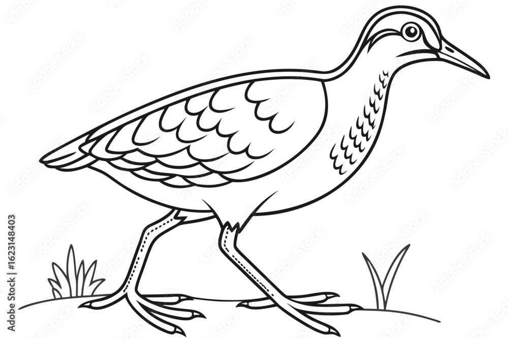 Fototapeta premium coloring page line art the jacana black vector