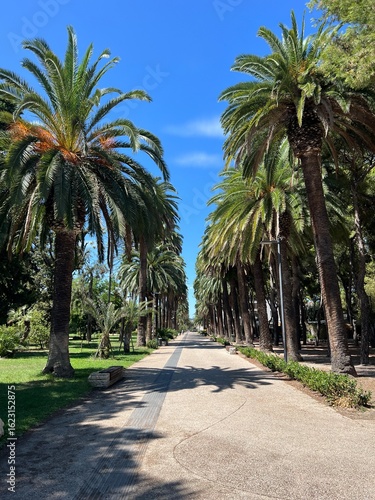 A Walking Pedestrian Path between two rows of Palm Trees along the Beach with Blue Mediterranean Sky
