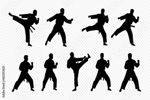 A collection of nine black silhouettes of a martial artist in a gi performing various kicks and fighting stances.