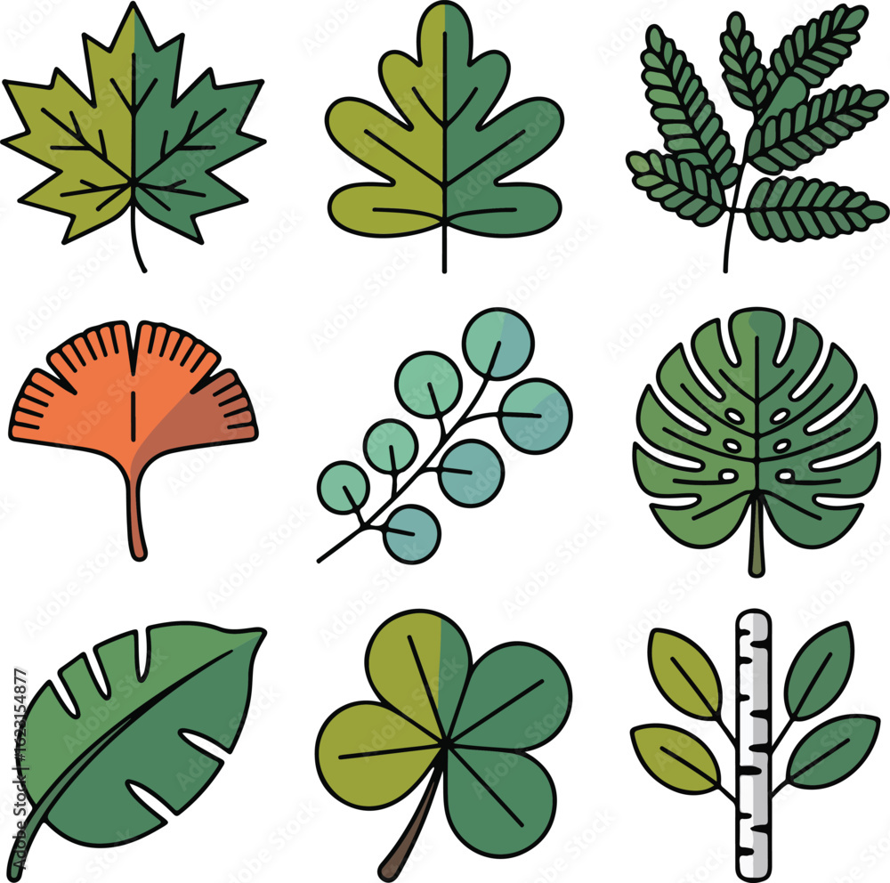 Fototapeta premium Nine Stylized Plant Leaf Illustrations in Green and Orange