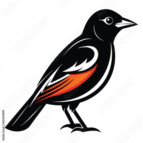 Black oriole bird with orange wing accents vector graphic