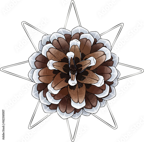 Pinecone Top View Star Ornament