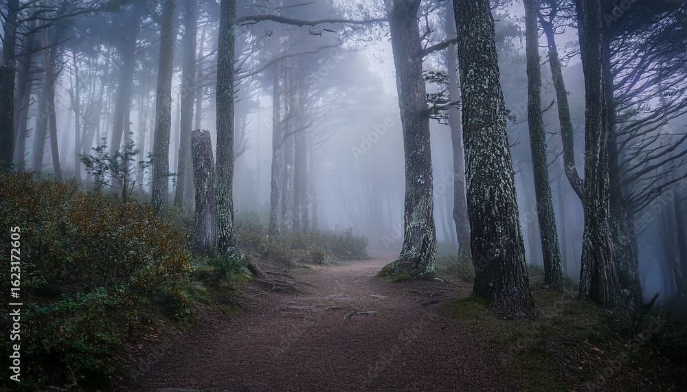 Naklejka premium mystical embrace of a fog laden forest where hidden pathways beckon and whispers of ancient trees dance in mist