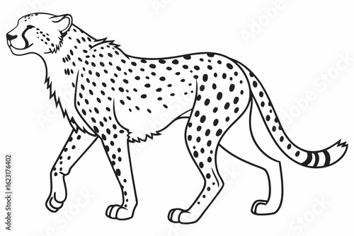 coloring page line art the cheetah black vector