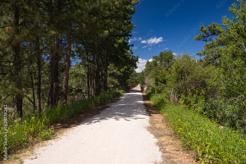 Fototapeta premium Bridge on the George S. Mickelson Trail, South Dakota