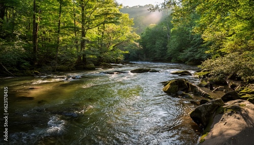 river flowing through the great smoky mountains lush vegetation peaceful scene serene natural beauty dappled current sunshine
