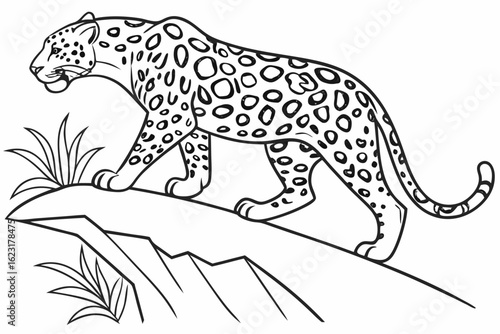 coloring page line art the jaguar black vector