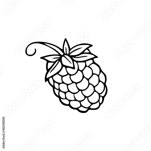 fresh berry fruit outline illustration