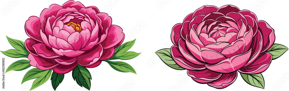 Obraz premium Two pink peonies are shown on a white background