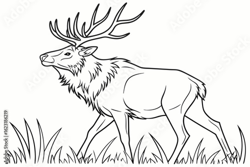 coloring page line art the elk black vector