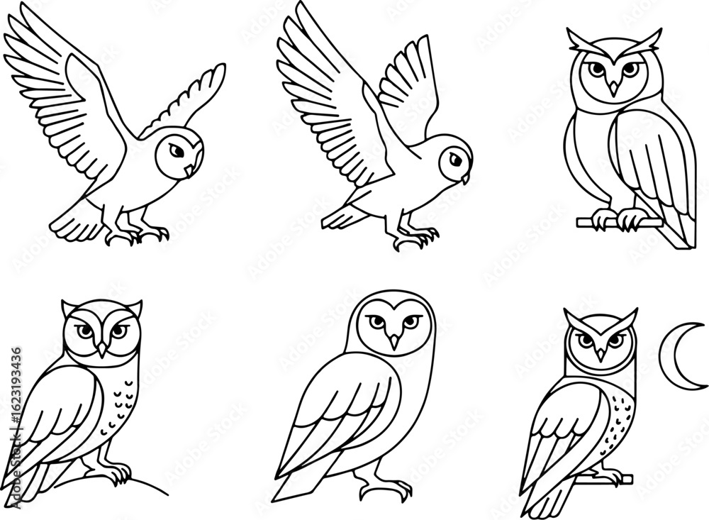 Fototapeta premium Vector art of collection of owl illustrations in various poses and styles