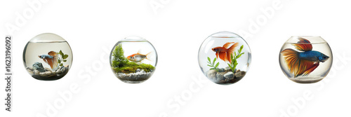 A set of vibrant tropical fish swimming gracefully in crystal-clear water – isolated on transparent background for aquatic and marine-themed visuals