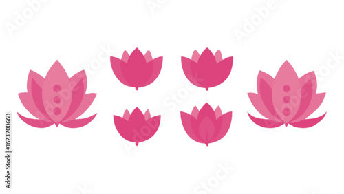 Illustration of five pink lotus flowers in varying sizes and orientations on a white background