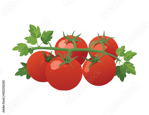 Bunch of Fresh Red Tomatoes on Vine - Vector Illustration