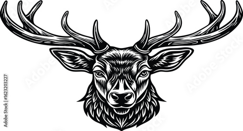 Majestic deer head with large antlers detailed silhouette vector illustration
