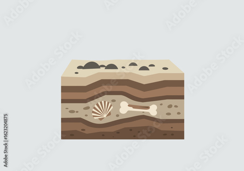 Illustration of geological soil layers showing a cross-section with ancient fossils like a bone and a seashell underground.