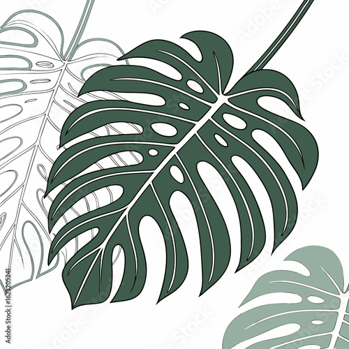 Stylized monstera deliciosa leaves in shades of green on a white background