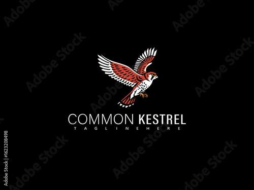 Vector illustration of a common kestrel in majestic flight with tail feathers fanned, rendered in elegant monochrome line art for branding, nature-focused prints, and wildlife identity assets.

