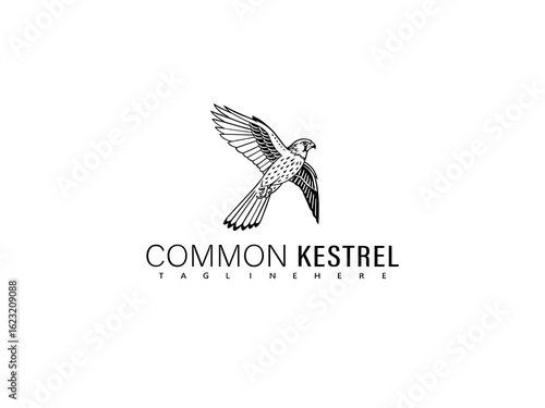 Monochrome vector of a kestrel perched calmly in side profile with soft body contour lines, great for vintage-inspired prints, natural history branding, and classic bird illustrations.

