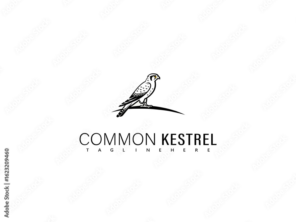 Fototapeta premium Artistic vector of a common kestrel diving mid-flight, drawn in flowing black and white curves, ideal for birdwatching infographics, branding identity, and wildlife wall decor.