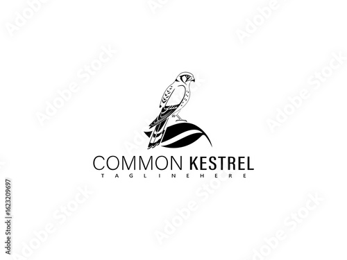 Side profile vector illustration of a flying common kestrel with strong wing symmetry and clean line art, ideal for sophisticated logos, branding visuals, and wildlife art prints.

