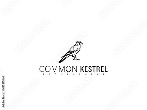 Soaring common kestrel vector artwork in stylized silhouette form, crafted for elegant graphic design, brand marks, merchandise printing, and outdoor enthusiast resources.


