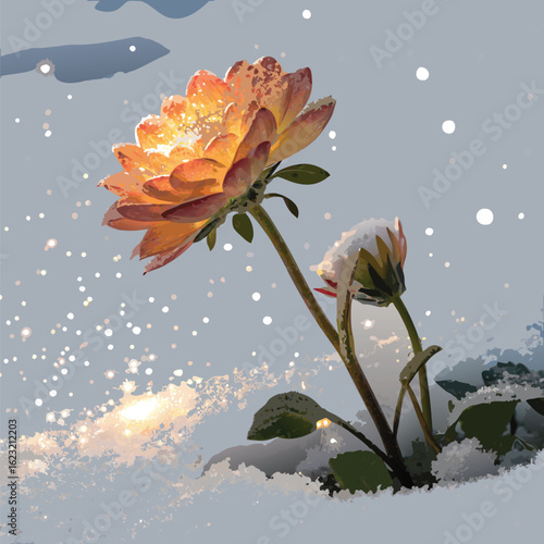 water lily in the water