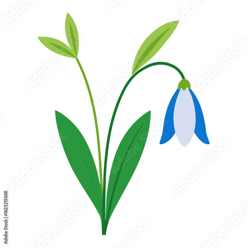 A delicate blue and white snowdrop flower with green leaves on a black background
