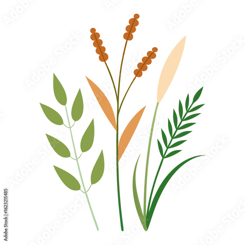 A minimalist illustration of autumnal grasses and leaves in earthy tones