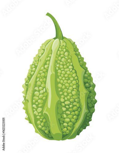 Fresh Whole Bitter Gourd Vegetable - Vector Illustration