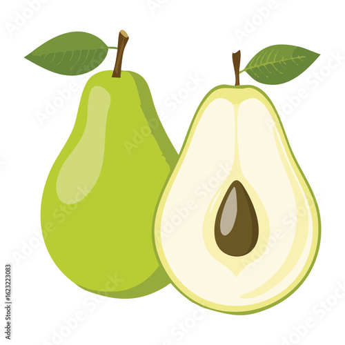 Fresh Organic Pears Fruit Whole and Sliced - Vector Illustration